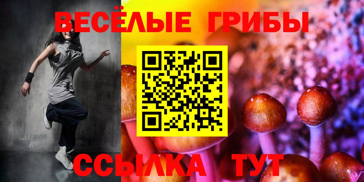 Галлюциногенные грибы MAGIC MUSHROOMS  Вход с VPN  Урюпинск 